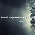 Question : Quand les pintades peuvent-elles sortir ?